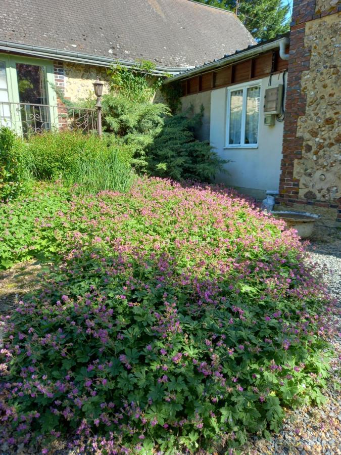 Chez Noelle Bed and Breakfast Illiers-Combray Eksteriør billede